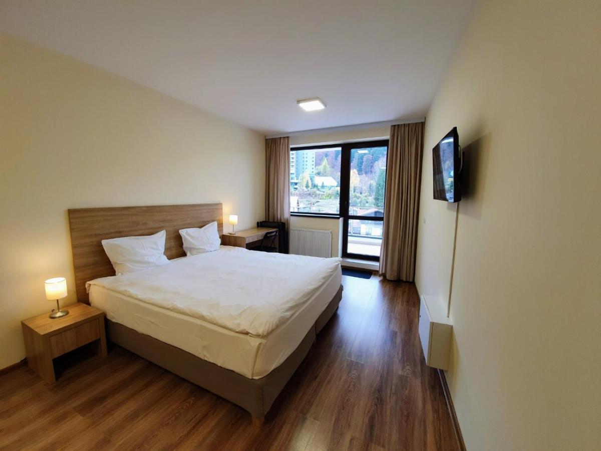 Studio Mountain View Sinaia Exterior photo